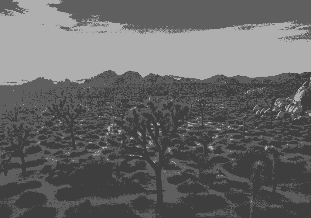 Joshua Tree, California