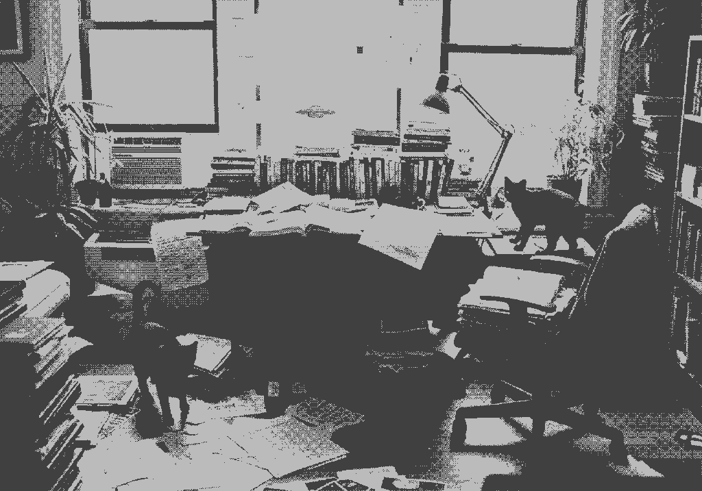 Popov's study in Brooklyn.